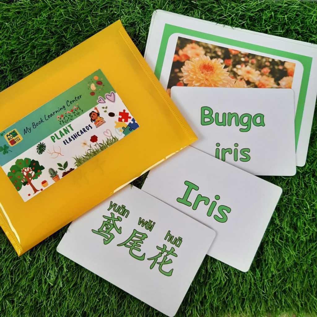 Kartu Mainan Edukasi Anak // Flashcards SIZE JUMBO Tema Tanaman // Plant 3 Bahasa untuk anak umur 1-