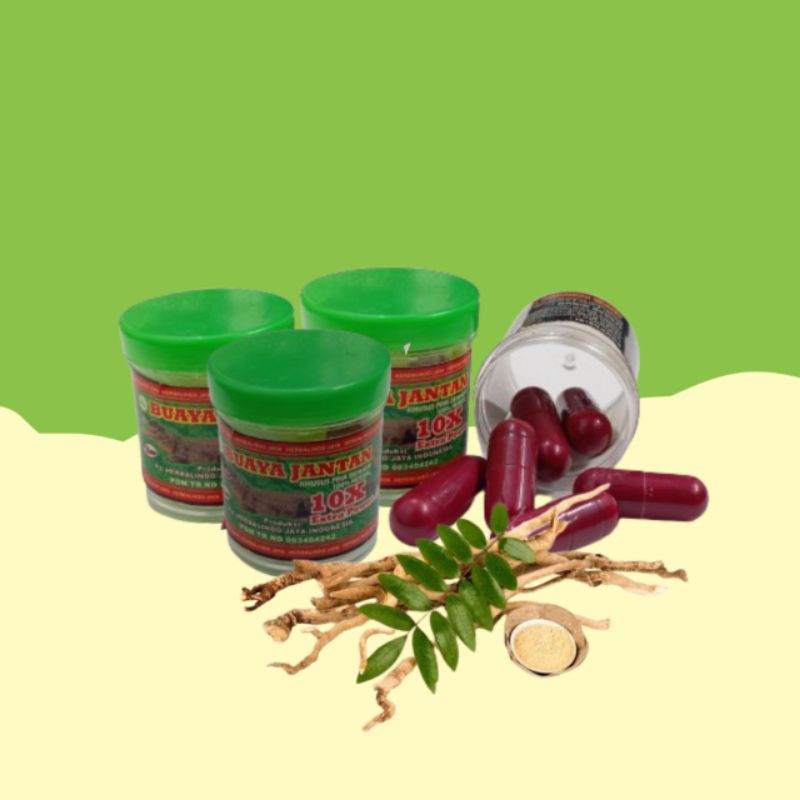BUAYA JANTAN kapsul herbal original. penambah stamina pria "ku44t t4h4n L4m4"