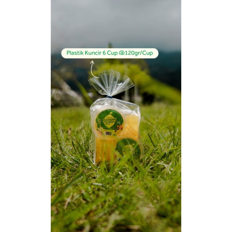 

Carica Dieng sumbing segar minuman sehat 6 pcs 120 mg