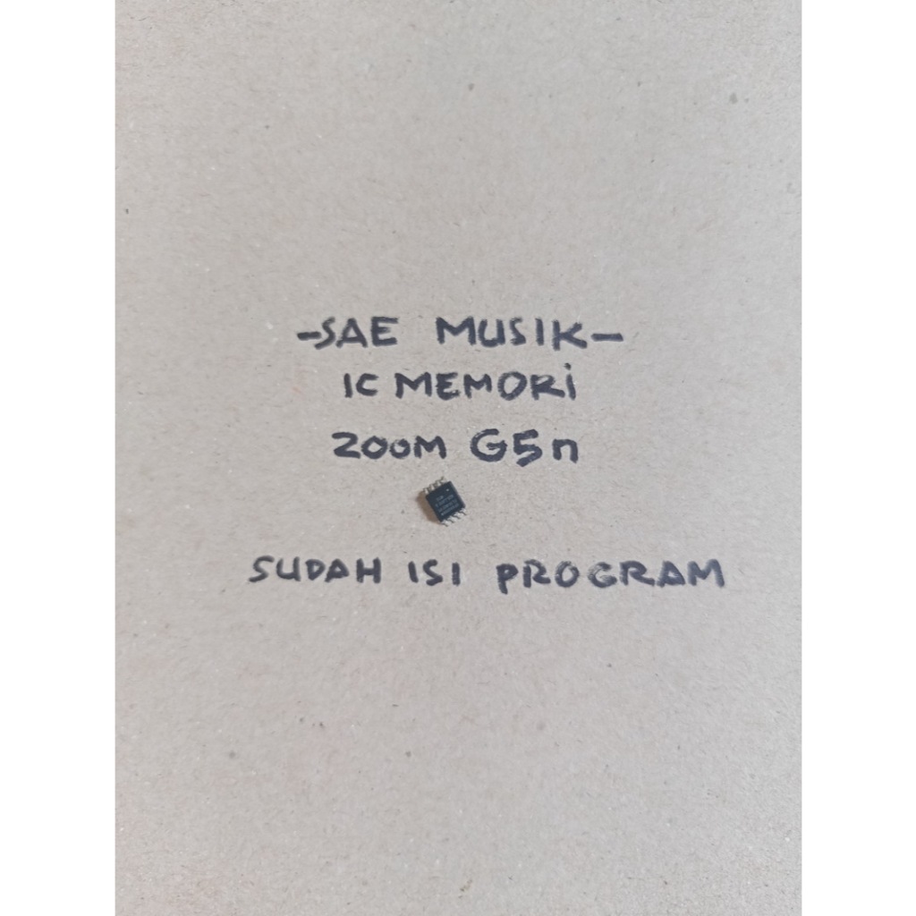 IC MEMORI ZOOM G5n sudah isi program