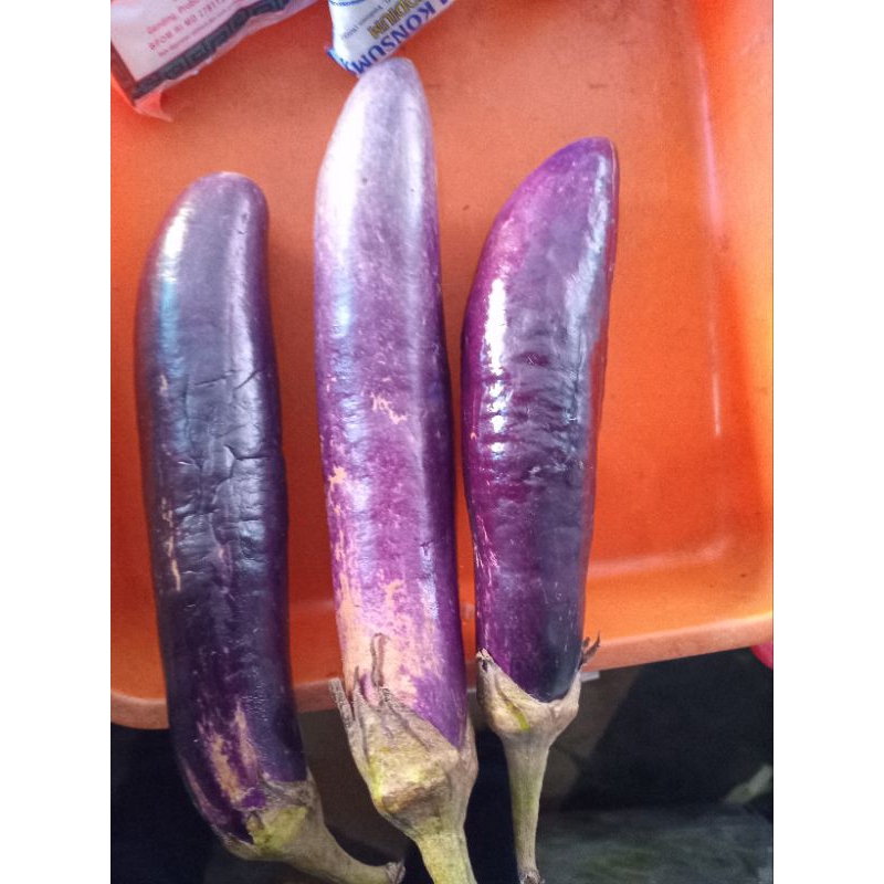 

torong ungu