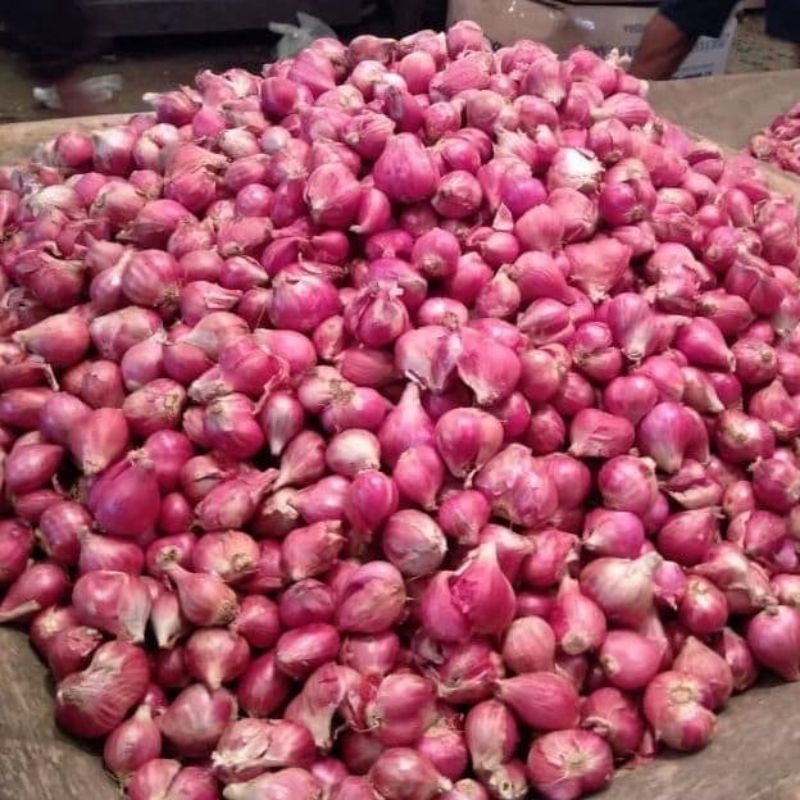 

BAWANG MERAH KECIL 500 GRAM