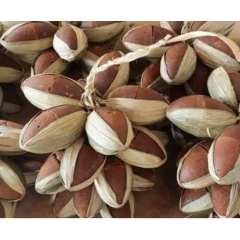

GULA AREN ASLI BANTEN