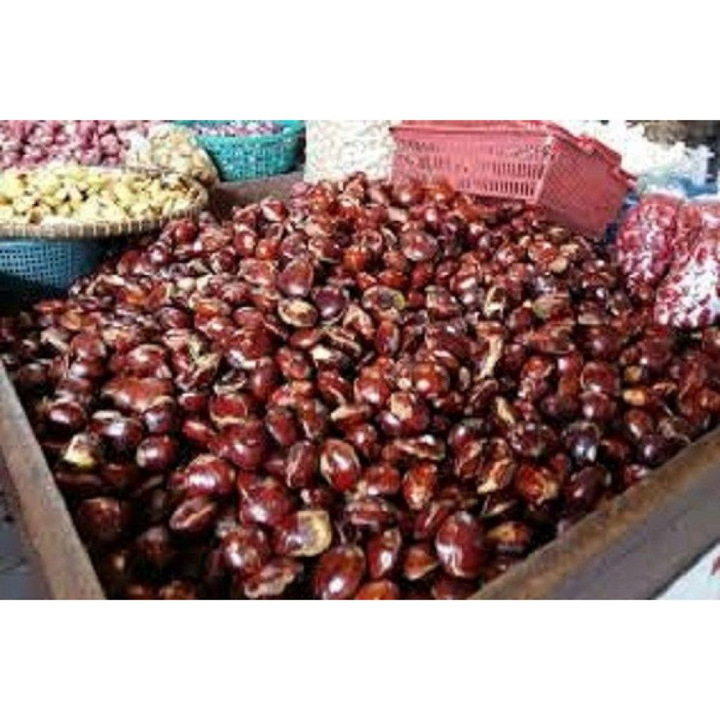 

jengkol / jengki super tua 1kg