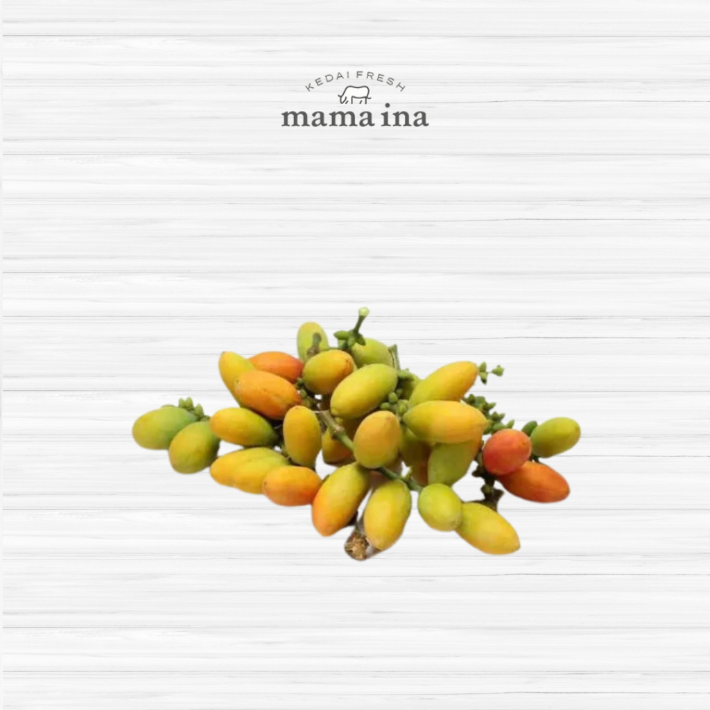 

Buah Belinjo / Tangkil 100g