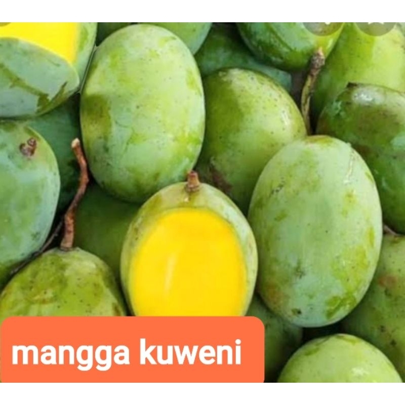 

mangga kweni 1 Kg