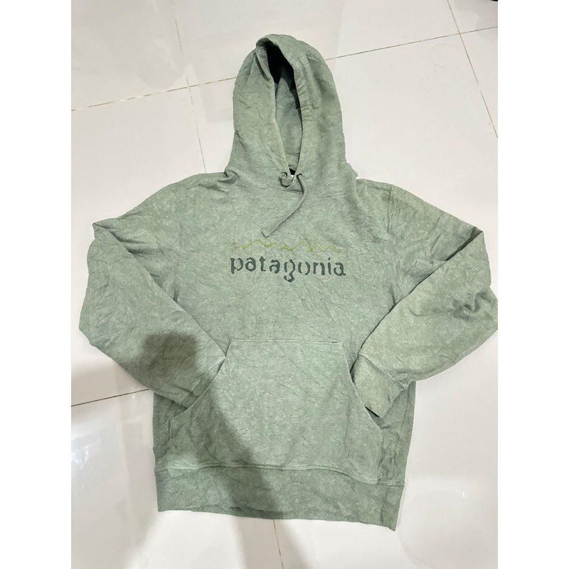 Hoodie Patagonia