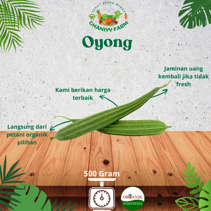 

Sayur Oyong Organik 500 Gram