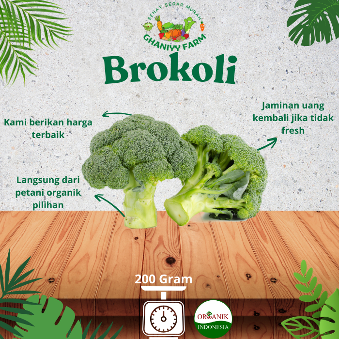 

Sayur Organik - Brokoli Hijau Segar Fresh Sehat Alami Rendah Kalori Penekan Diabetes 200-250 Gram