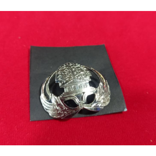 PIN ASN/pin korpri/perlengkapan pns/emblem pns/kolpri kerancang