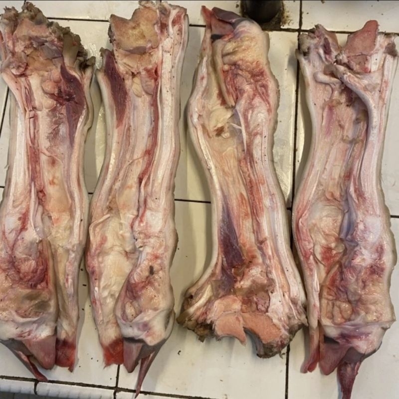 

Kaki Sapi Lokal Per batang Lokal