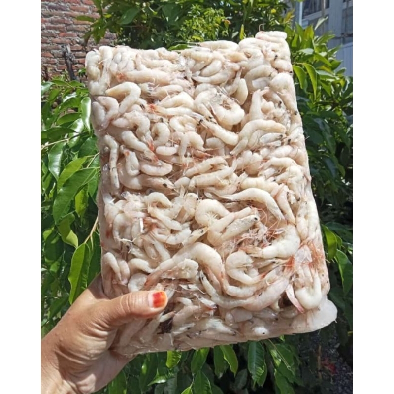 

udang peyek
