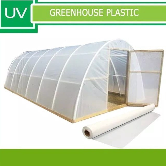cp Plastik UV Atap Green House Tanaman Hidroponik Lebar 3 Meter Kualitas Plastik Tebal Warna Putih S
