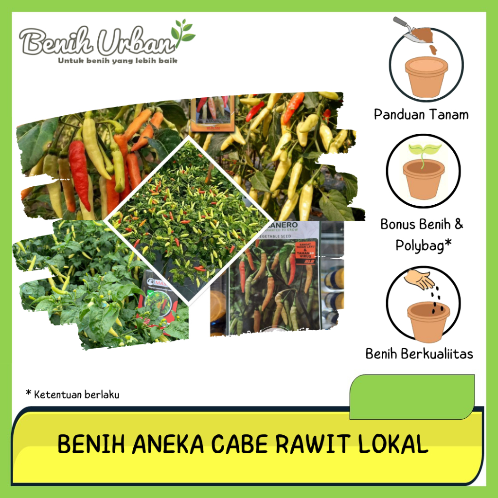 Aneka Benih Cabe Rawit Kaliber ORI 212 Shypoon Cabai Master Viral Tahan Virus Repack Original