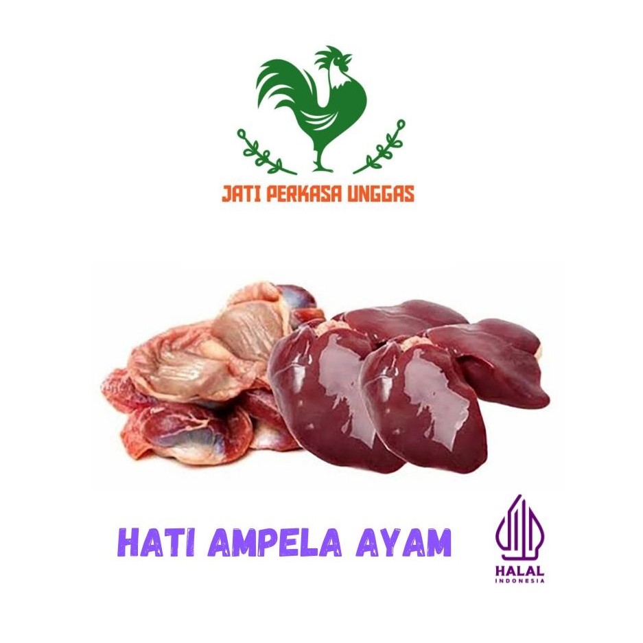 

Hati Ampela Ayam Segar