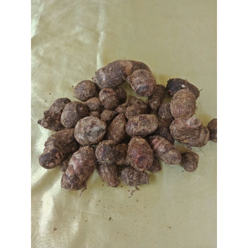 

umbi talas merah segar 500gr