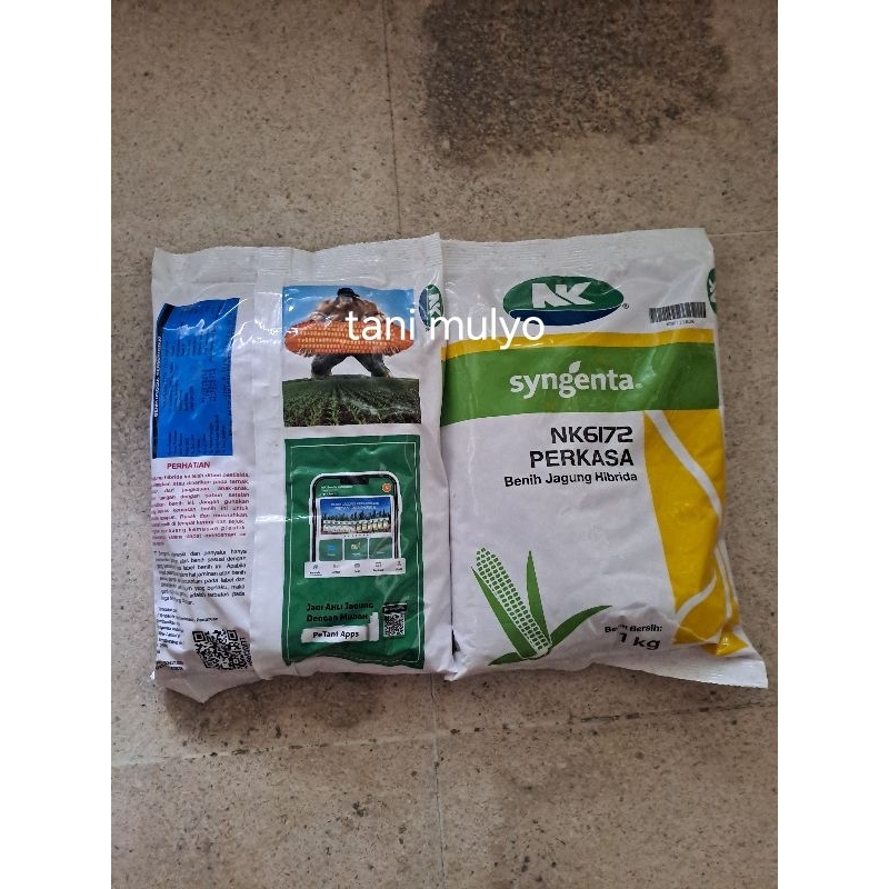 nk 6172 perkasa benih jagung hibrida