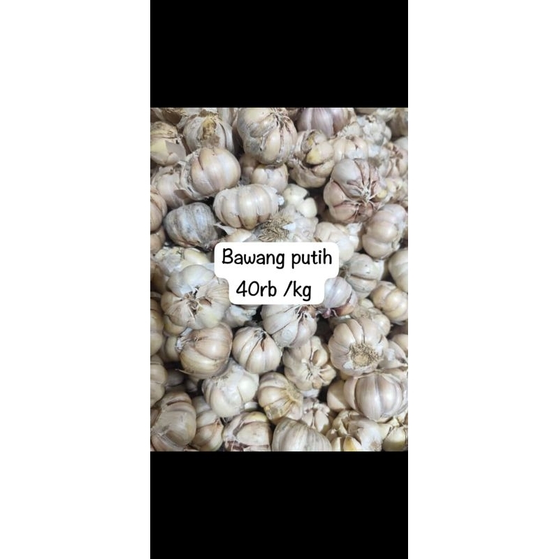 

Bawang Putih 1kg