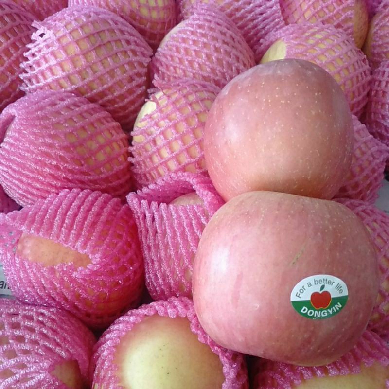 

Apel Fuji fresh *grosirbuah_surabaya*