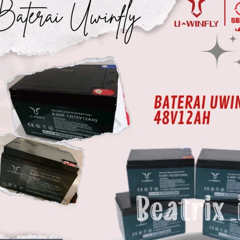BATERAI SEPEDA LISTRIK UWINFLY 48V/12AH