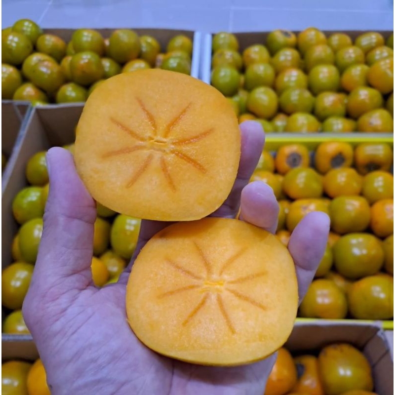 

Kesemek impor 2 pcs | PearSimon -+500 gram buah segar | vegespot