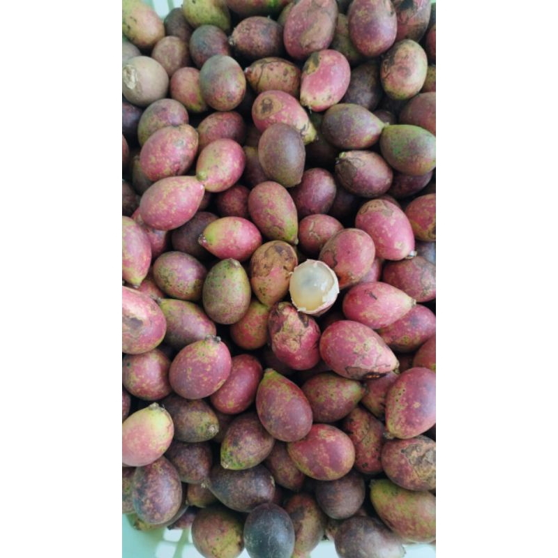 

Buah Matoa 1 Kg Jamin Manis dan Fresh