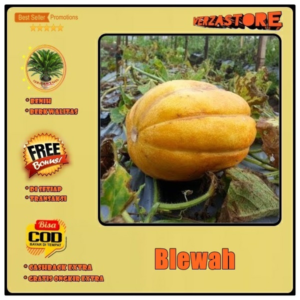 Biji Benih Buah Blewah F1 Hibrida  / 10 Biji