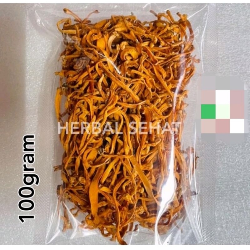 

CONG CAO HUA 100GRAM BUNGA CORDYCEPS CONGCAOHUA CHONG CHAO HUA CHONGCHAOHUA