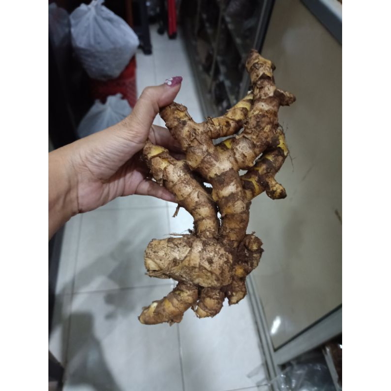 

Temu giring/temu Kuning segar 1kg