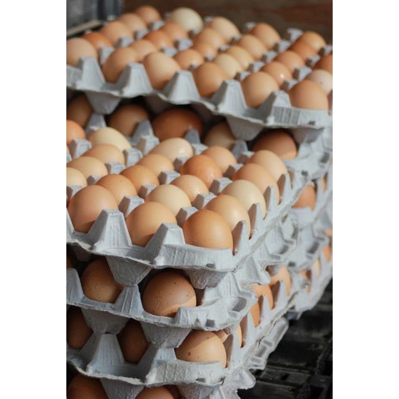 

TELUR AYAM | 500 gram