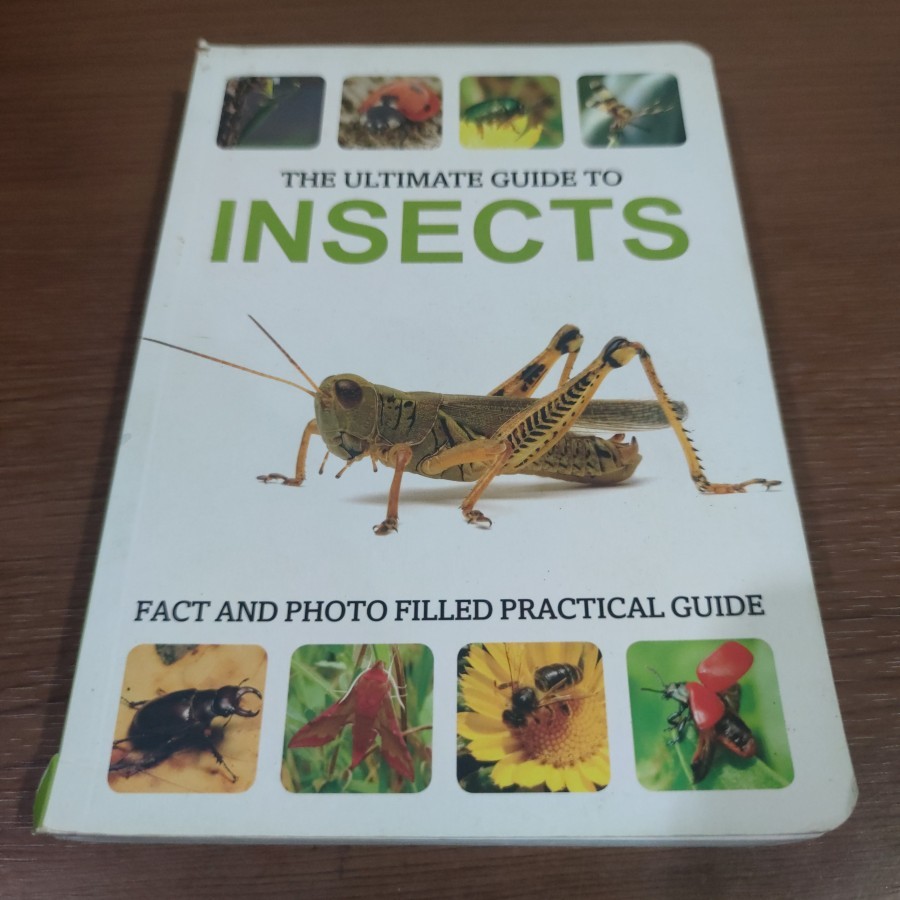 BEKAS ORIGINAL - Buku Ensiklopedia The Ultimate Guide to Insects (Bahasa Inggris) - Ensiklopedi Peng