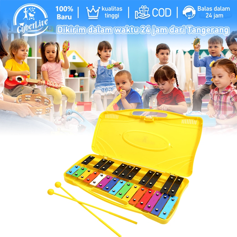 Xylophone Glockenspiel Percussion Rhythm Musical Mainan Anak Musik Mainan Anak Xylophone