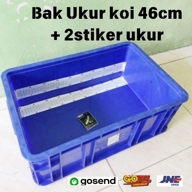 BAK UKUR IKAN KOI 46cm + 2STIKER UKUR ANTI AIR 50x33x20cm BOX BAHAN PLASTIK