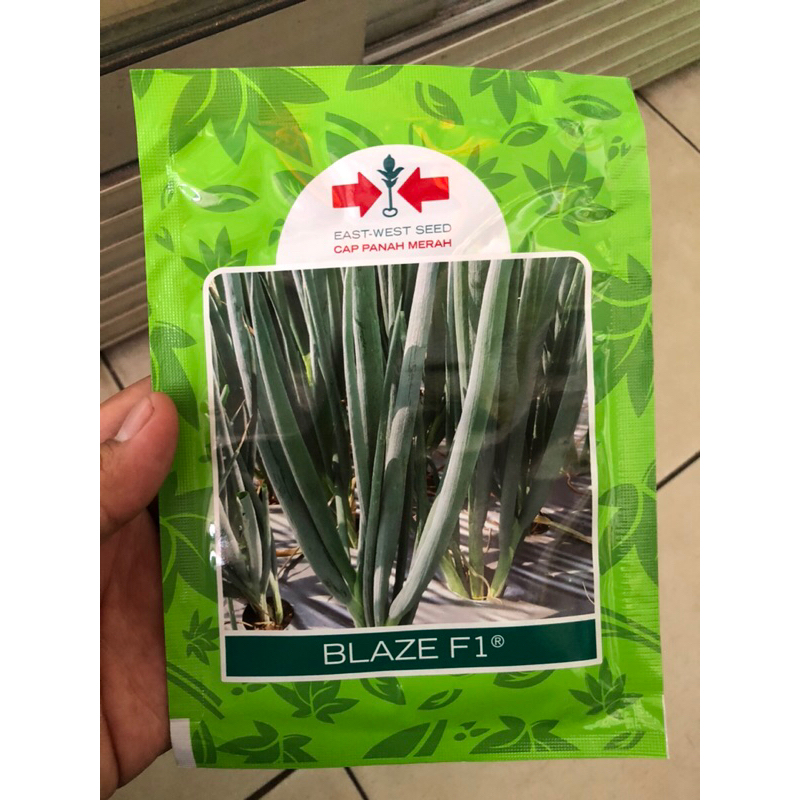 Benih Daun Bawang BLAZE F1 10 Gram Cap Panah Merah