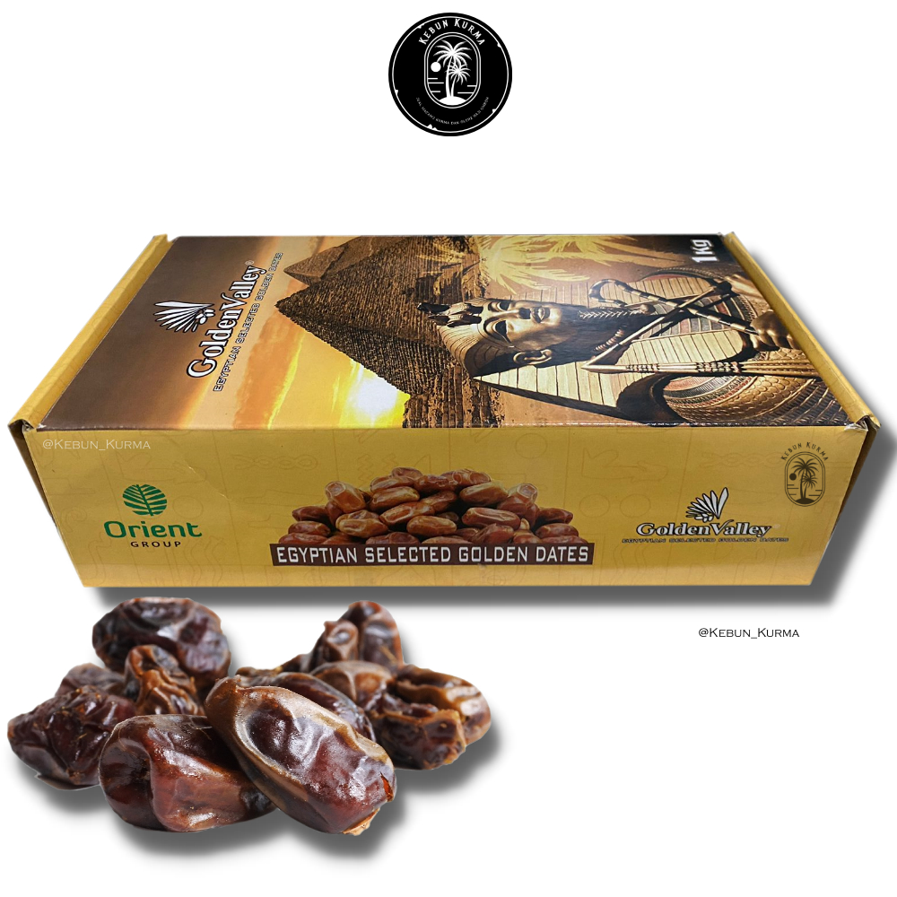 

Kurma Golden Valley [1KG] | Kurma mesir Premium Original [DUS GOLDEN VALLEY]