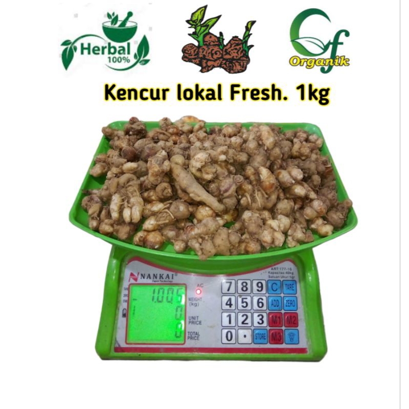 

Kencur Lokal 1kg Empon Empon Palawija Bumbu Masak