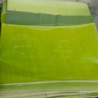 

Daun pisang muda 1Lepit isi 7 lembar