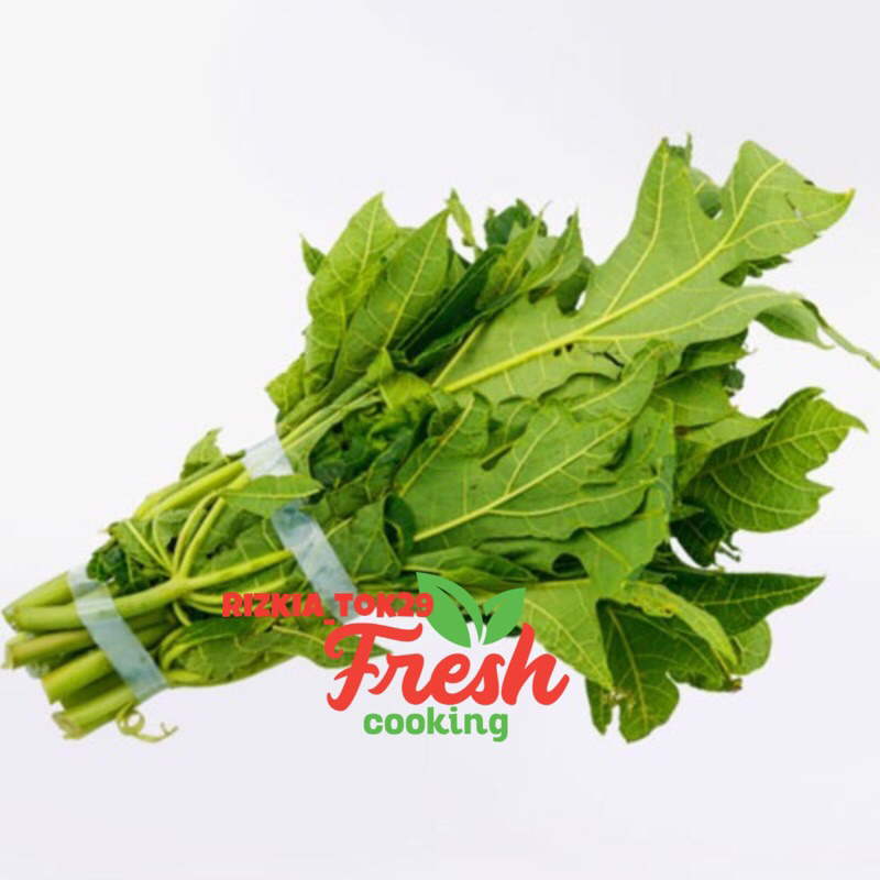 

DAUN PEPAYA - FRESH PESAN LANGSUNG DIPETIK