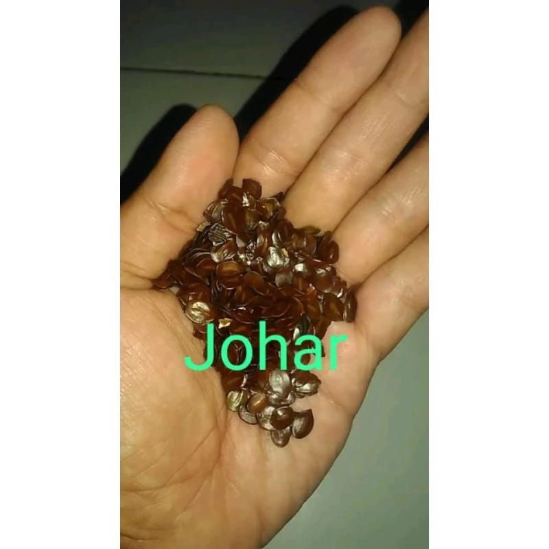 

biji johar super 1 kg