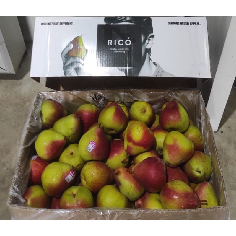 

Buah Pear Pir Rico Australia 1 Dus (11 KG) Fresh Import