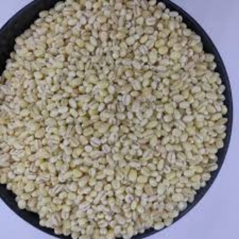 

Jali Jali Barley Organik 100 gram