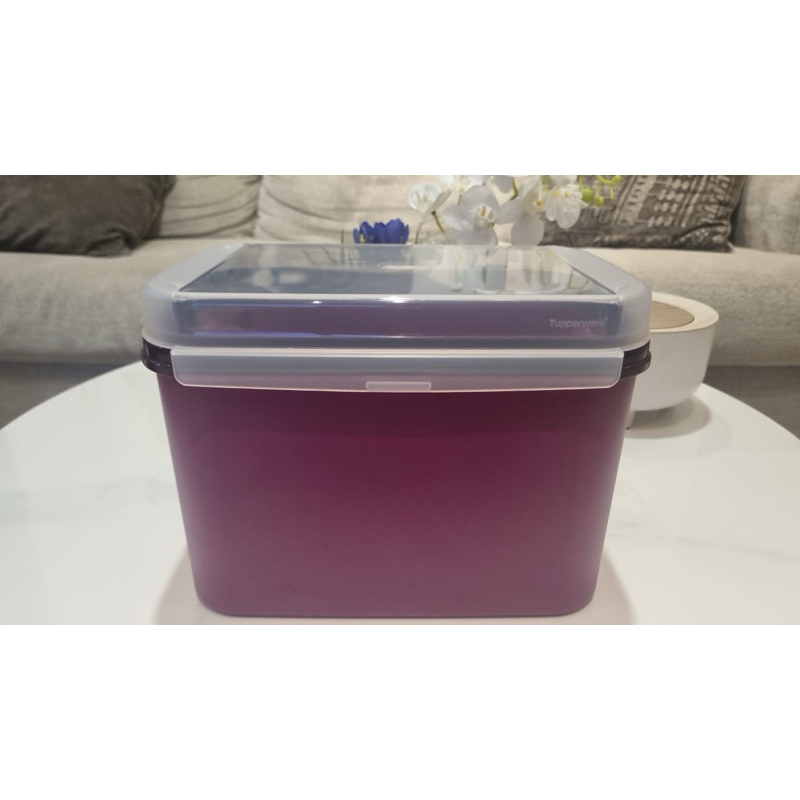 toples besar rect signature 3