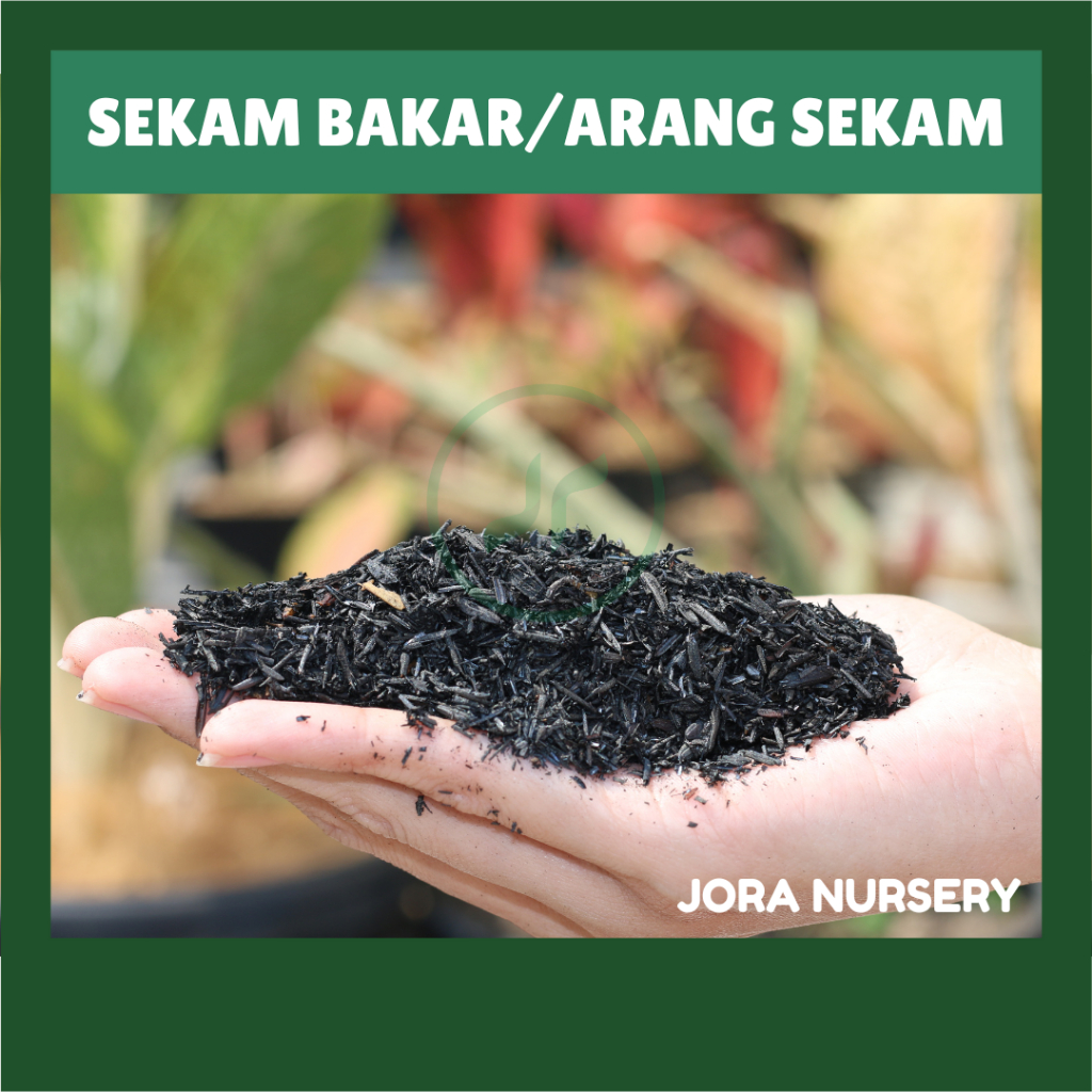 Sekam Bakar / Sekam Sangrai Media Tanam 1 pack