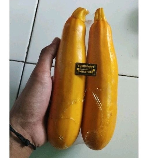 

ZUKINI KUNING FRESH | 2 PCS