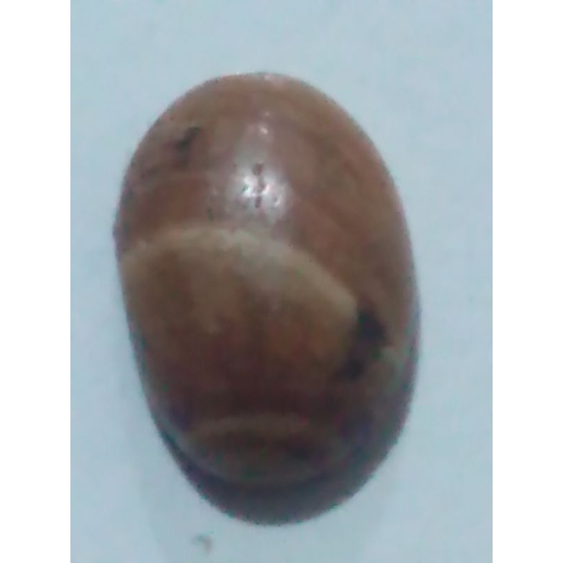 akik mani gajah madu