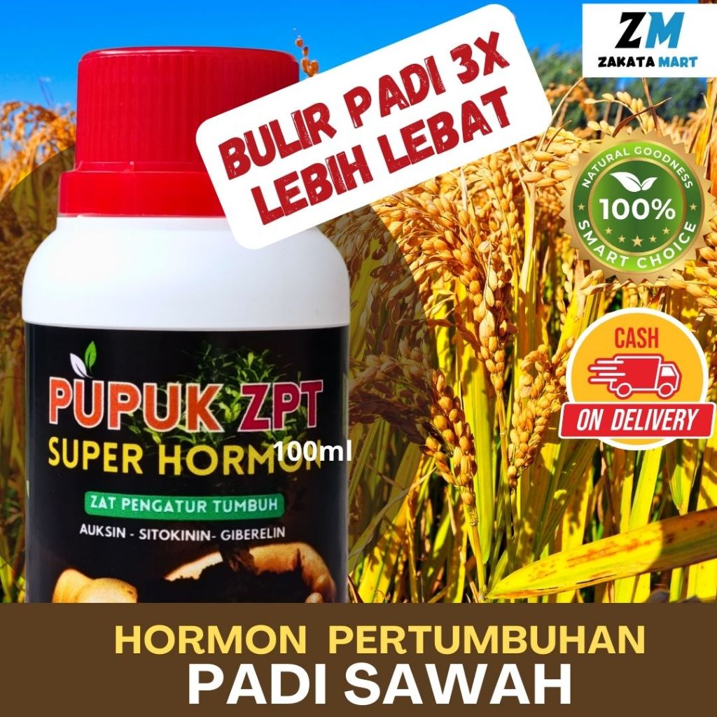 Pupuk Padi Semprot Penyubur Daun Padi, Pupuk Cair Organik Penyubur Tanaman Pengisi Bulir Padi 100 ml