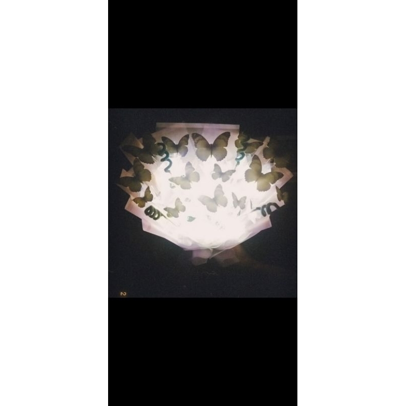 

Bucket Butterfly/Hadiah/Wisuda