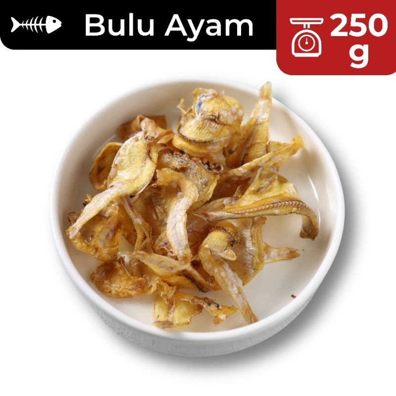 

250g Ikan Asin Bulu Ayam SUPER / Ikan Asin Teri Gangga / Ikan Asin Murah / Ikan Asin Enak