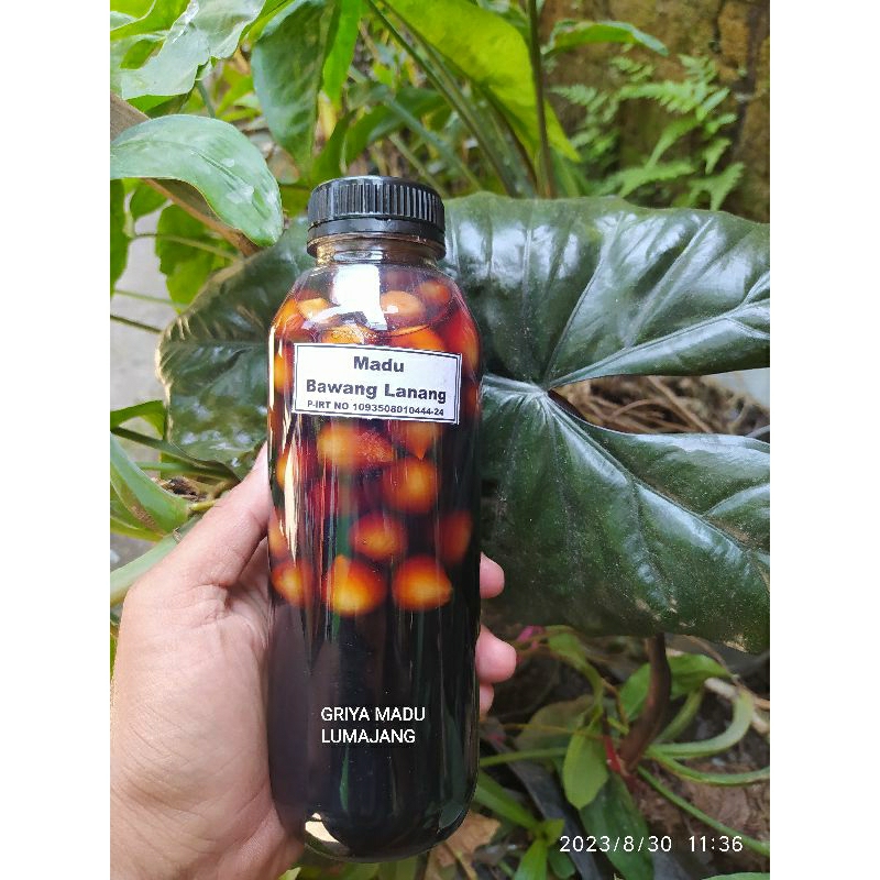 

MADU BAWANG TUNGGAL