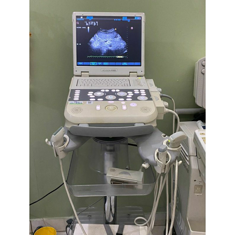 USG 3D ACUSON P300